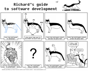 software_development