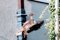 IMG_20200414_091642