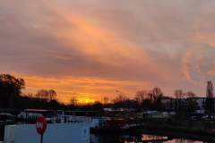 IMG_20211201_073322