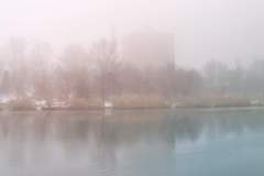 IMG_20211213_101058