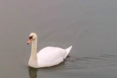 IMG_20211213_184828_868