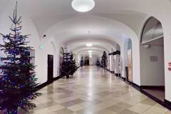IMG_20211220_070148